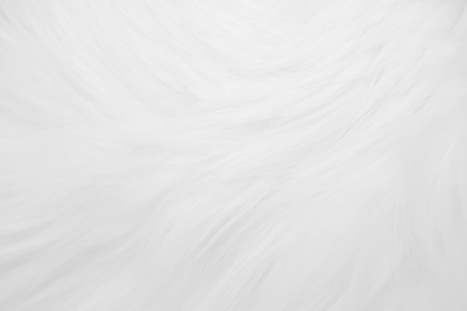 fur-676x450