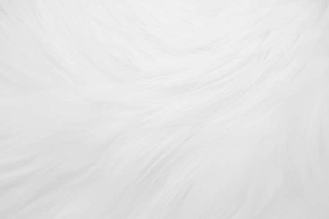 fur1-676x451
