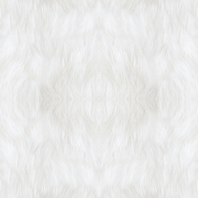 fur_bck11-676x676