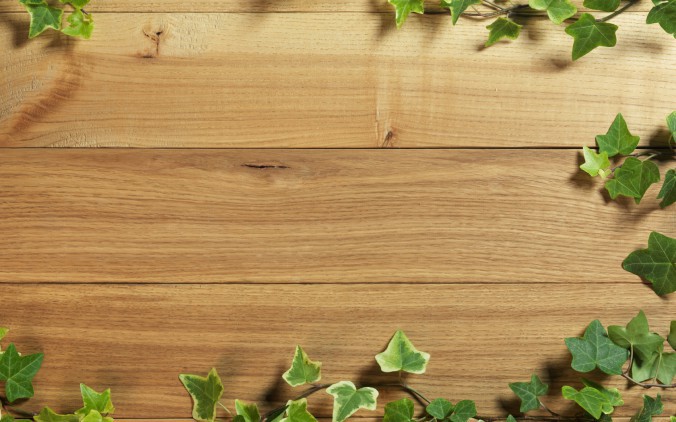 Wooden-Surface-with-Fresh-Green-Leaves-Background-676x422