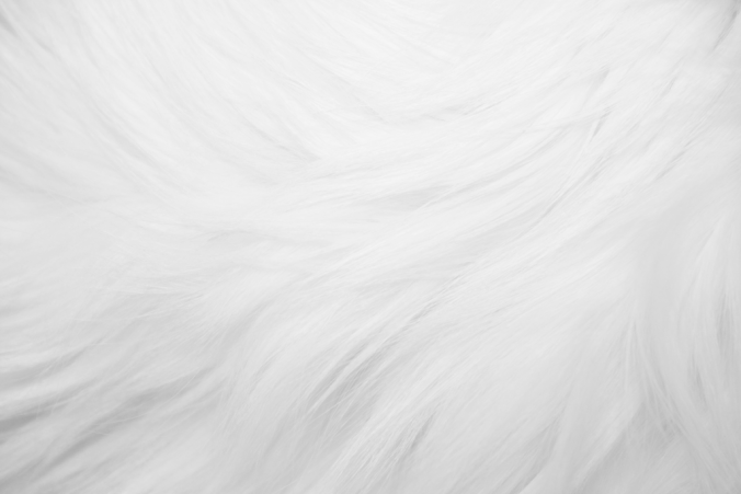 pink-fur-texture2-1024x683