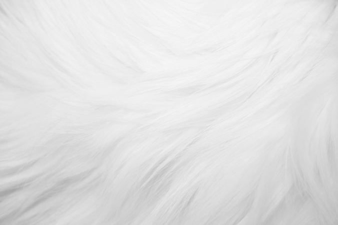 pink-fur-texture2-676x451