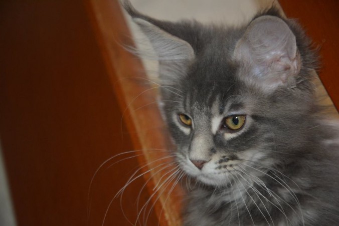 10371704_10207604524365255_4758176551475937742_n