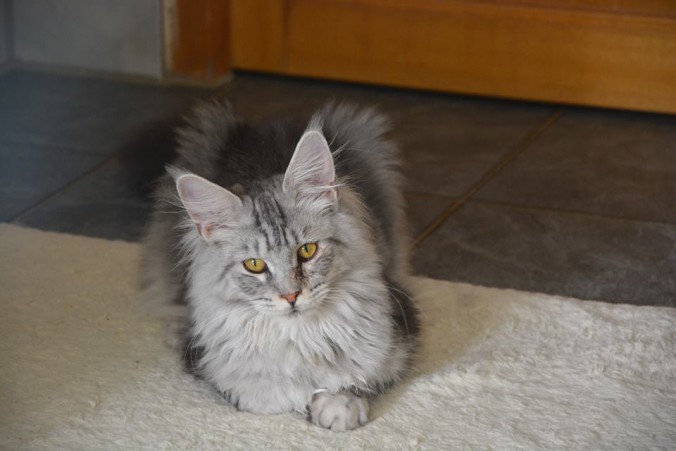 11012193_10206706069584447_1286300456192942829_n