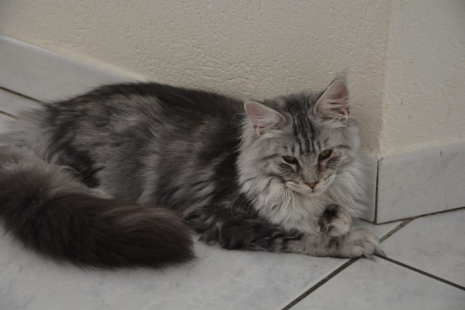 12191413_10206706069624448_8555870597851762878_n