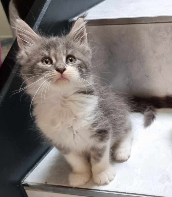20260903_164047