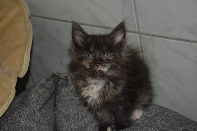 20993959_760149787526723_8510001068062664789_n