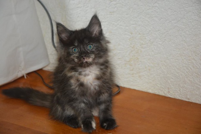 21314835_765586906983011_5787202048065841452_n