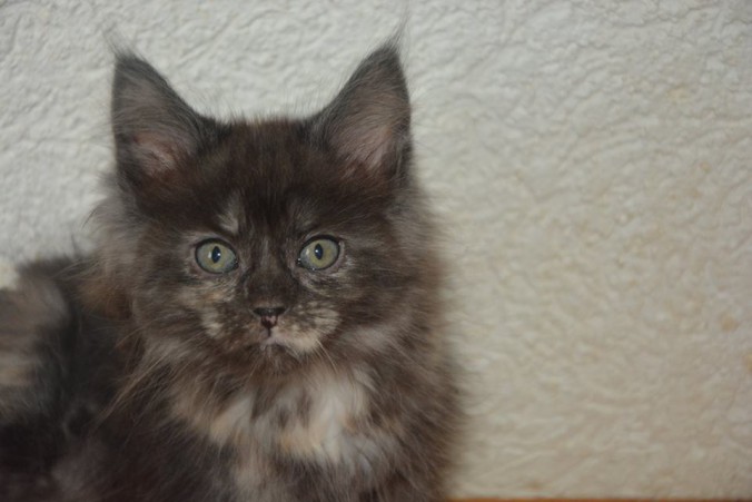 21317973_765586916983010_836376935747363385_n