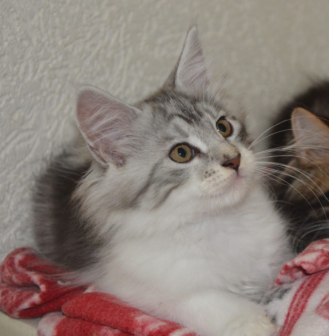 21743389_767636000111435_4214478415682055628_n