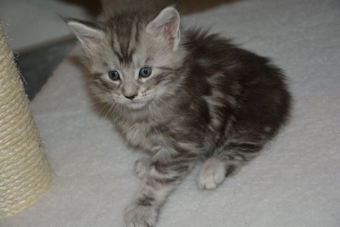 25289260_809276819280686_4385589026111406328_n