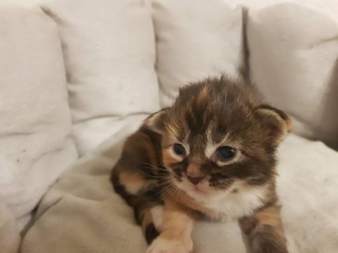 33660744_893919127483121_8796084380733800448_n