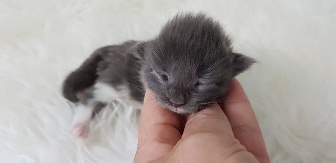 36481682_923387574536276_565458862862237696_n