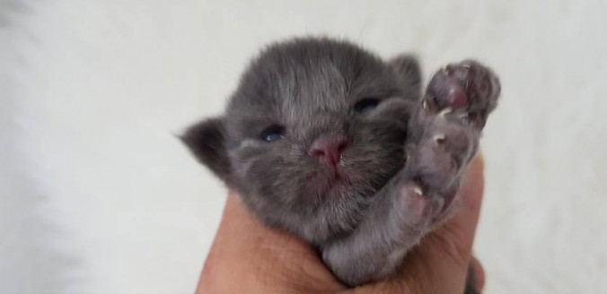 36545550_923386881203012_4074562137148620800_n