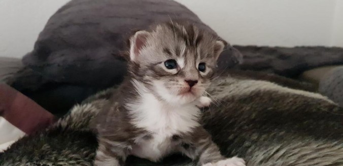 37069238_936048733270160_3020346909513482240_n