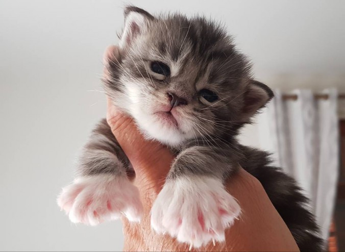 37095110_936048433270190_4742140148190281728_n