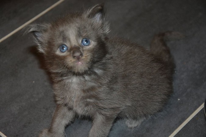 37390795_942514599290240_7846217226095951872_n