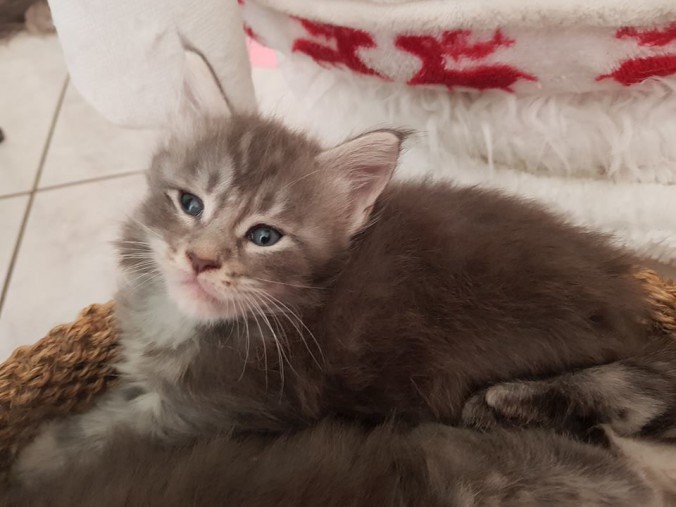 38773262_964604887081211_1728813895298056192_n