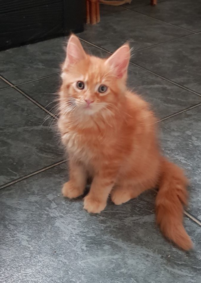 40823371_987364491471917_7151121389653590016_n