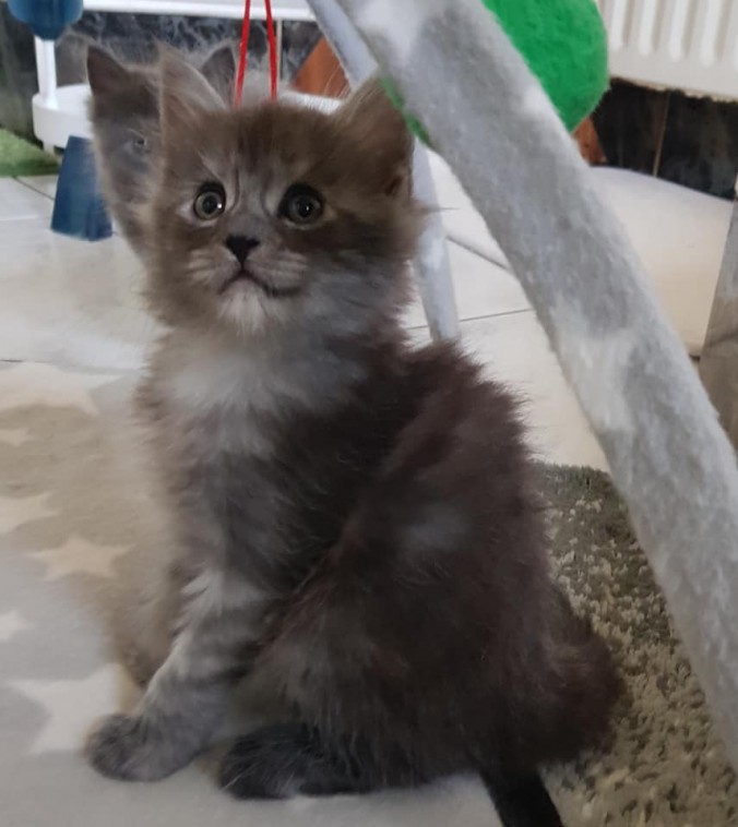 41807138_994057014135998_8693996087599431680_n