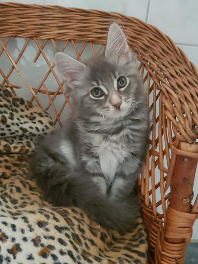 42059470_996167963924903_654799126126395392_n