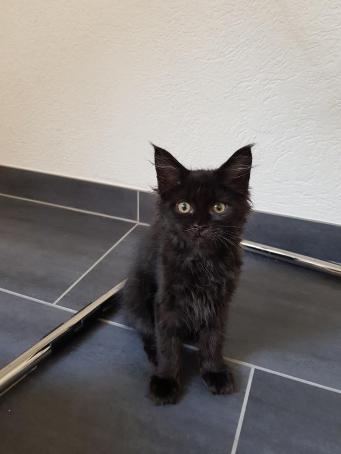 42423656_998823106992722_3957121324500910080_n