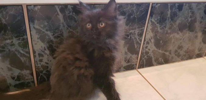 44303280_1011300525744980_85692496000057344_n