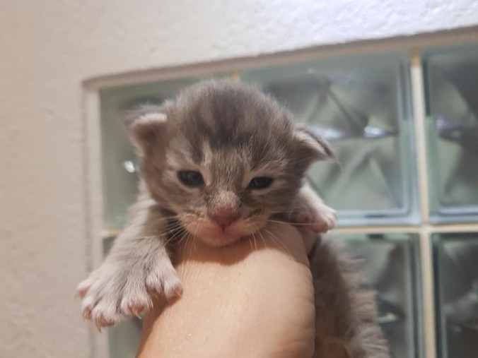 44896661_1016636961878003_1781075332233691136_n