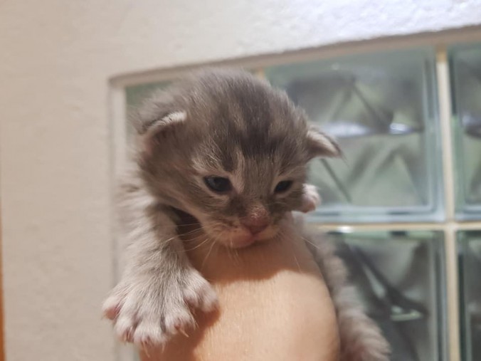 44984883_1016637075211325_4722425105840340992_n