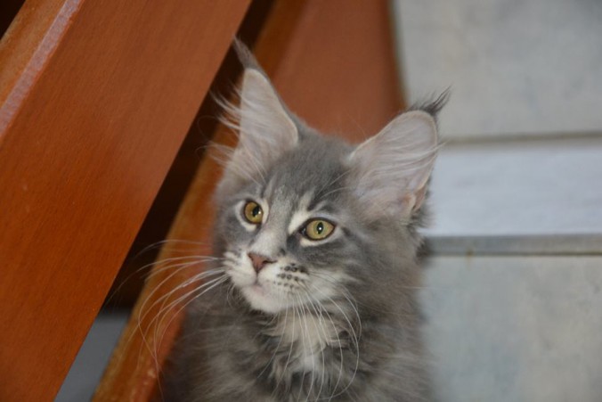 481169_10207604525565285_347386632090775712_n