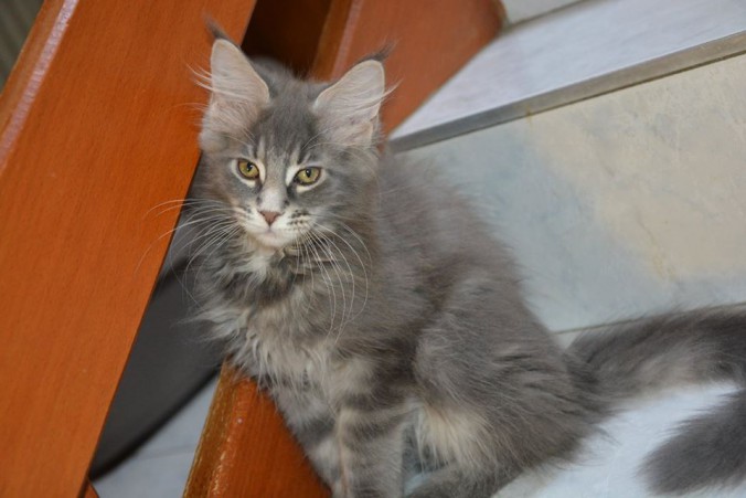 5839_10207604524205251_2274682488548967151_n