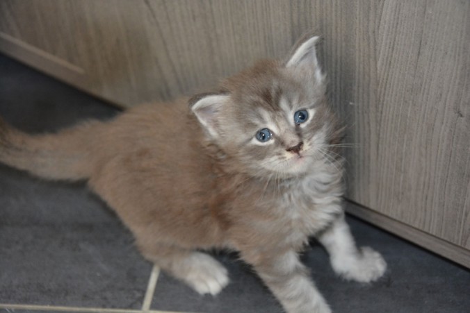 61653853_1158042354404129_3083199825995366400_n