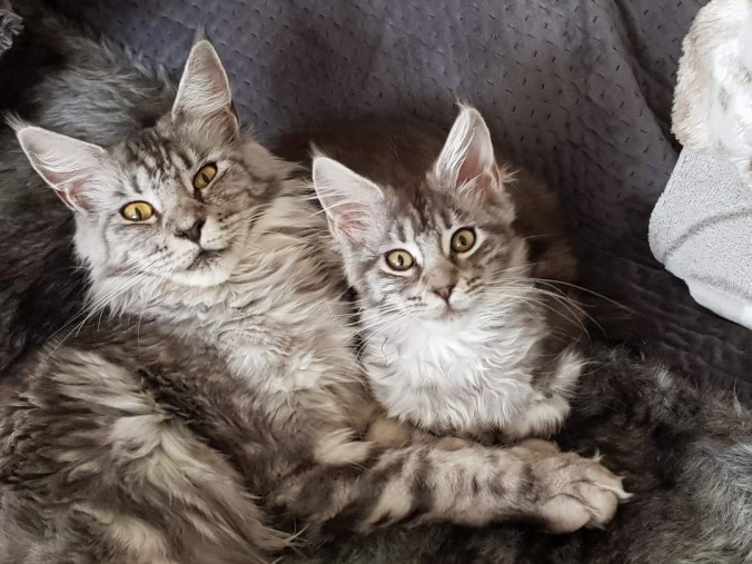 FB_IMG_1680361301701