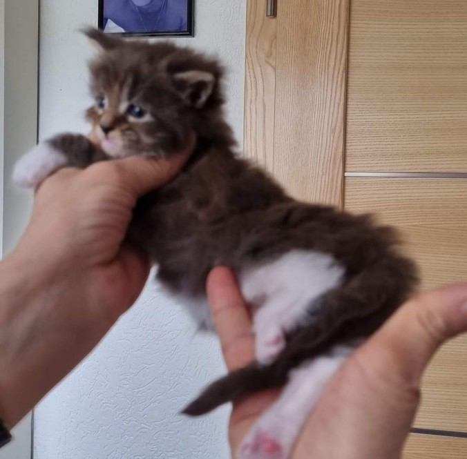 FB_IMG_1683293146509