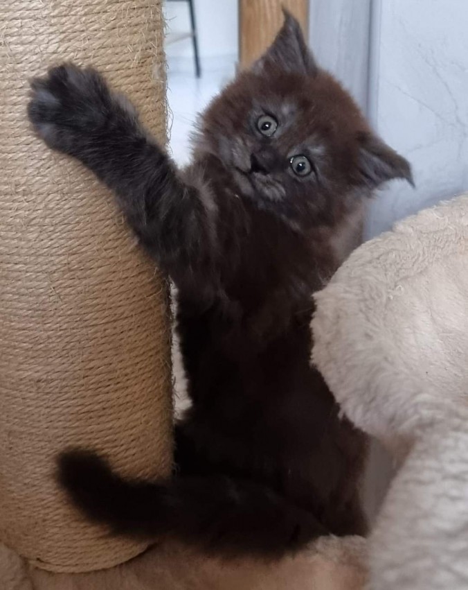 FB_IMG_1694943209164