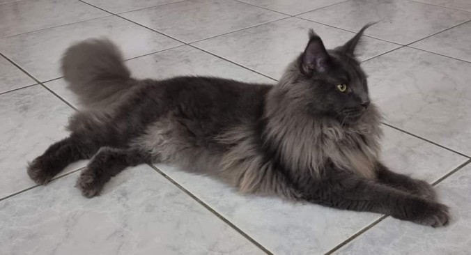 FB_IMG_1717876619044