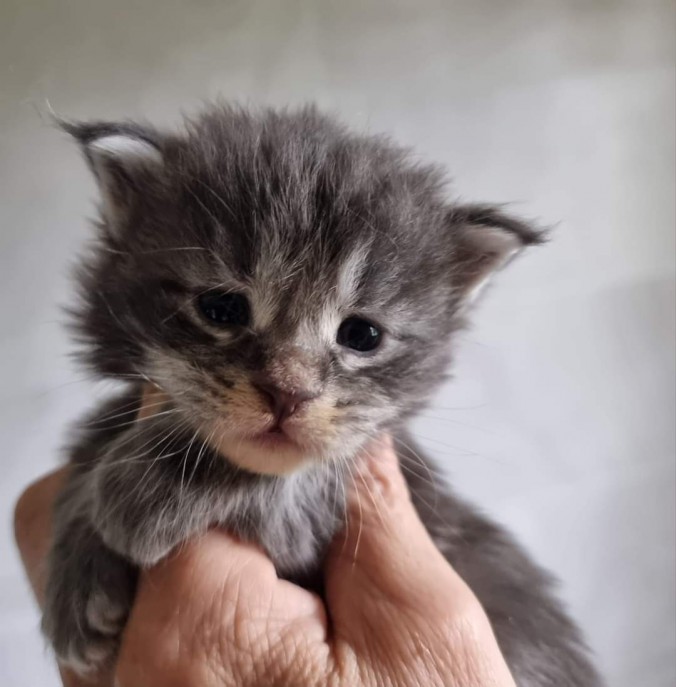 FB_IMG_1720022285069