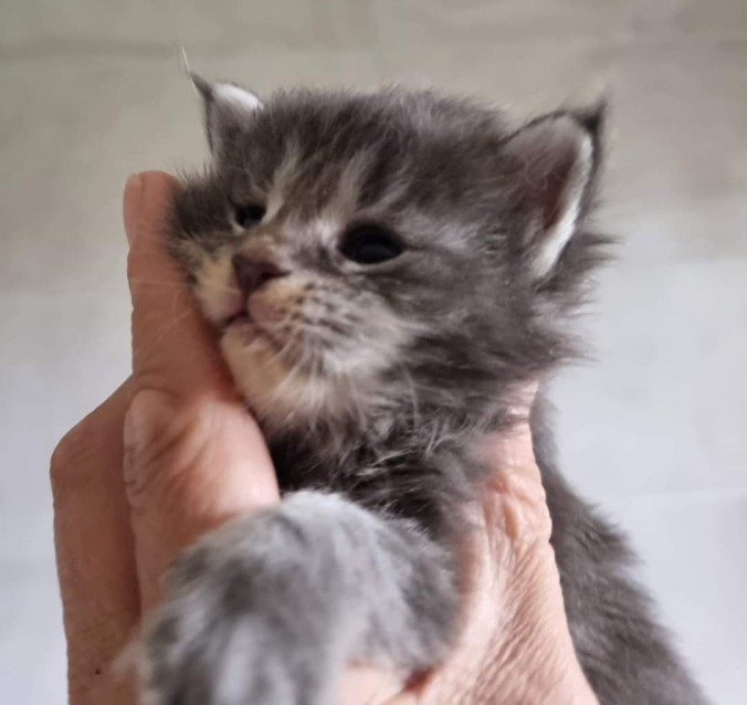 FB_IMG_1720022292545