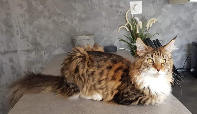 FB_IMG_1720106845782