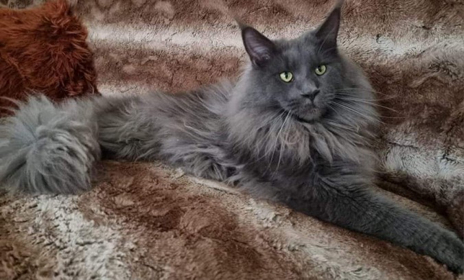 FB_IMG_1720106852493