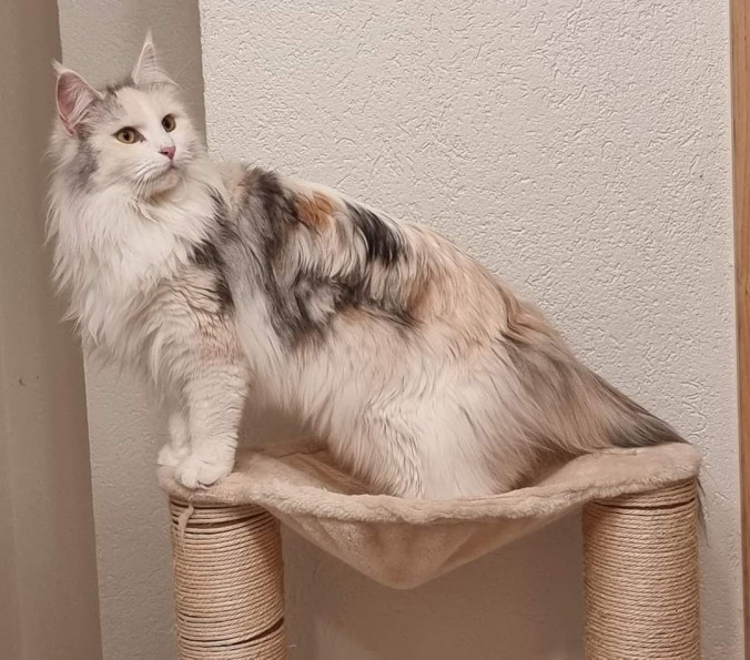 FB_IMG_1725352072133