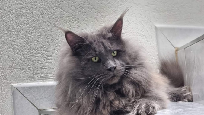 FB_IMG_1725352078603