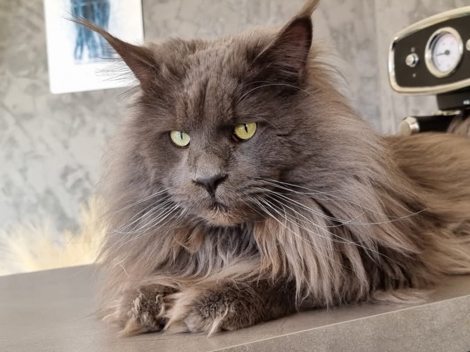 FB_IMG_1746541498748