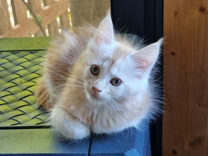 FB_IMG_1753806104013