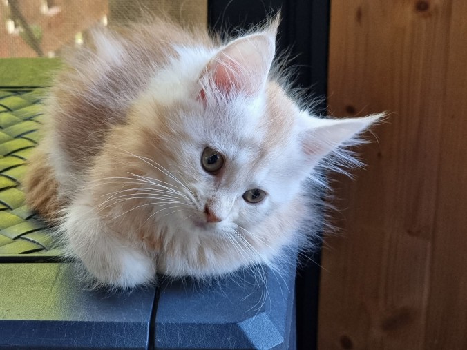 FB_IMG_1753806109291