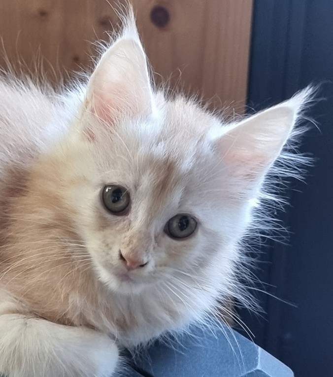 FB_IMG_1753806114771