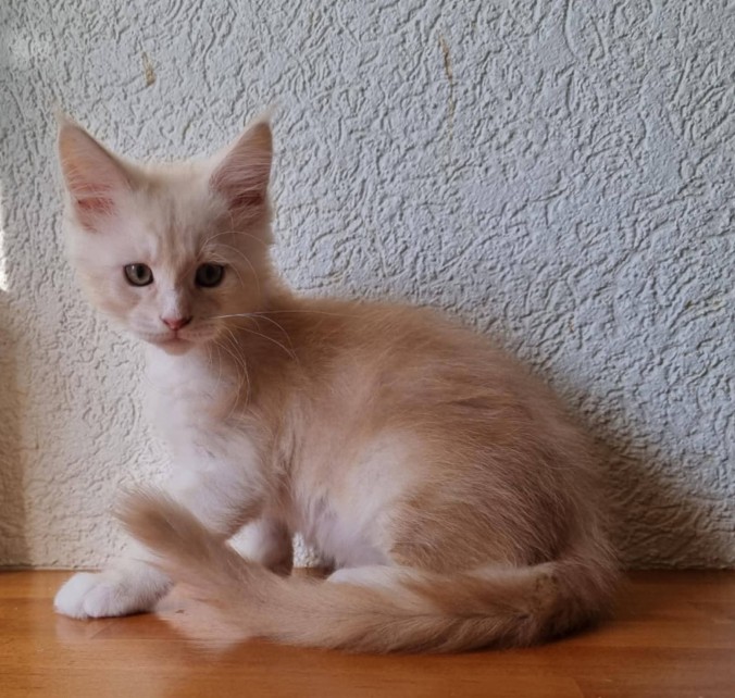 FB_IMG_1756404106308