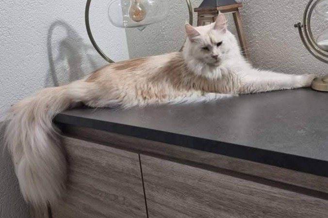 FB_IMG_1756404114327