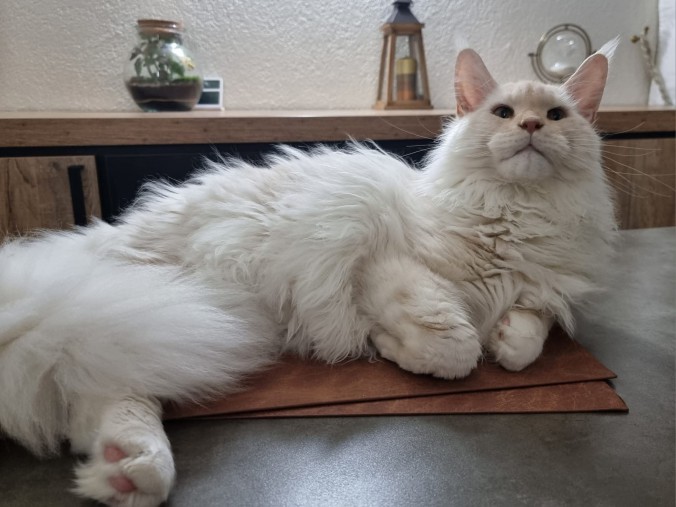 FB_IMG_1756404118346