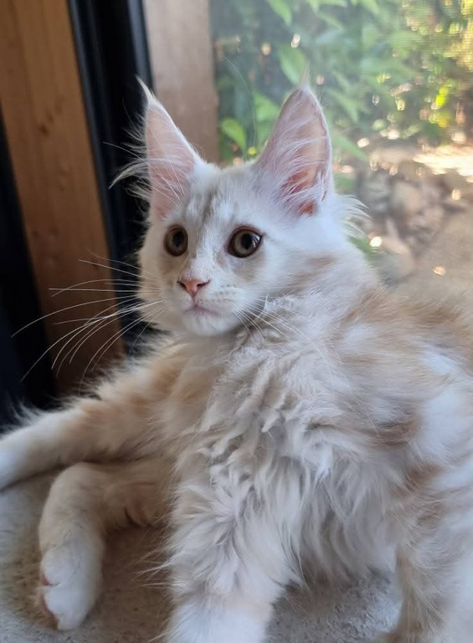 FB_IMG_1756404305498